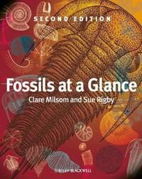 Milsom Clare Fossils at a Glance