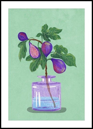 Figs Branch In Vase Poster Plakat / 40x50cm Figs Branch In Vase Poster Plakat / 40x50cm