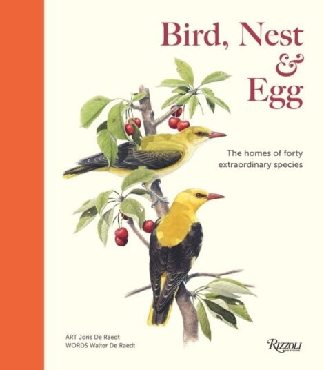 Bird Nest & Egg
