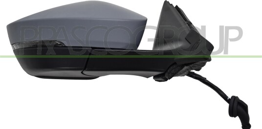 Sidespeil PRASCO SK0347333