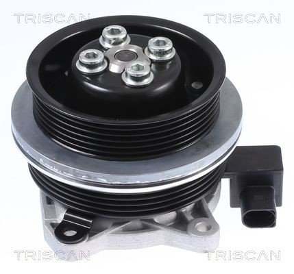 TRISCAN 8600 29062 Vannpumpe