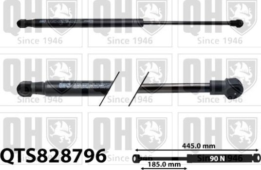 QUINTON HAZELL QTS828796 Baklukedemper
