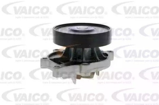 VAICO V20 50057 Vannpumpe