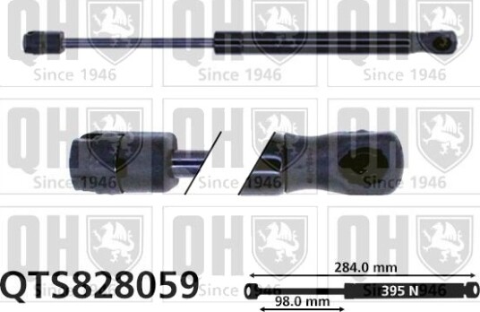 QUINTON HAZELL QTS828059 Baklukedemper