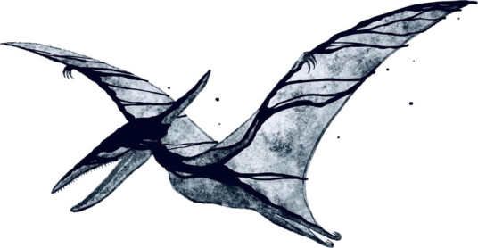 Pterodactyl / Plesiosaur