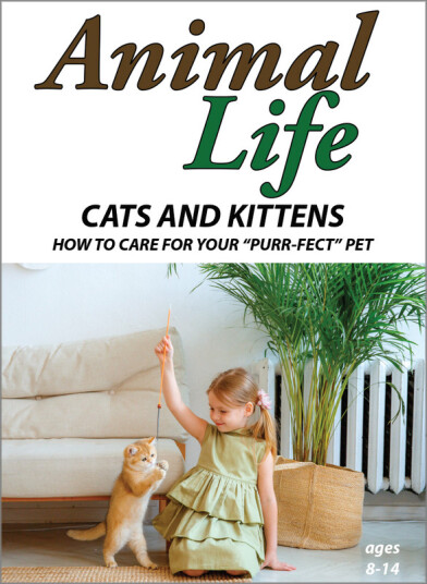 Animal Life: Cats & Kittens How To Care For Your 'Purrfect' Pet DVD