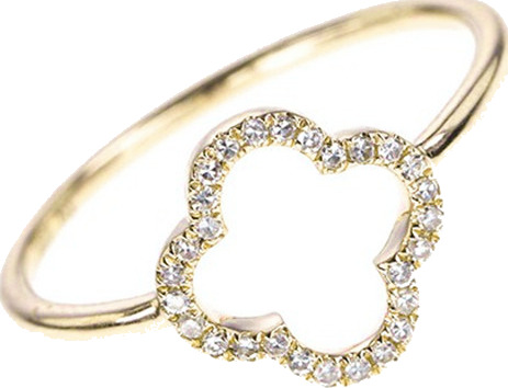 Canard Jewelry Ring Evelyn Gold