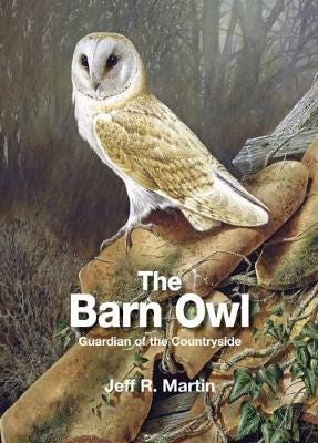 The Barn Owl Av Jeff Martin