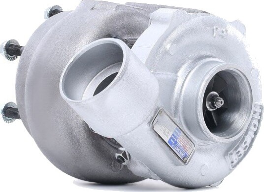 Turbolader RIDEX REMAN 2234C10256R