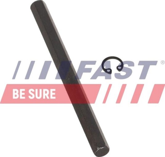 Oljepumpe FAST FT04168