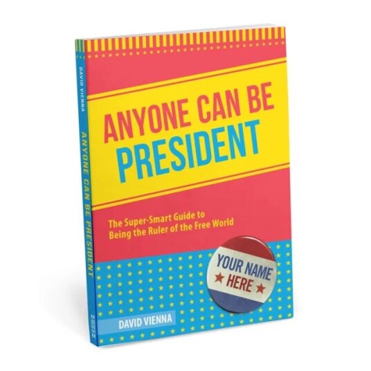 Anyone Can Be President Av David Vienna
