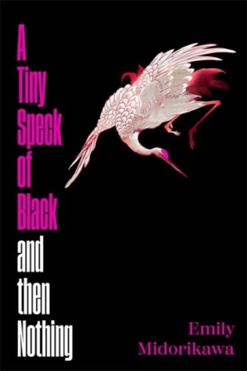 A Tiny Speck of Black and Then Nothing A Tiny Speck of Black and Then Nothing