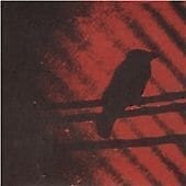 MediaTronixs Thee Silver Mt. Zion Memorial Orchestra : Born Into Trouble As the Sparks Fly Pre-Owned