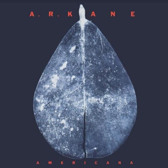 A.R. Kane Americana LP/Vinyl