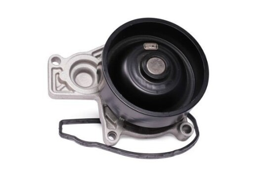 HEPU P433 Vannpumpe