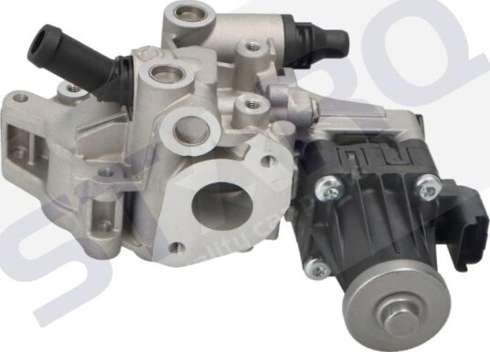 EGR-ventil STARQ SQ322-21156