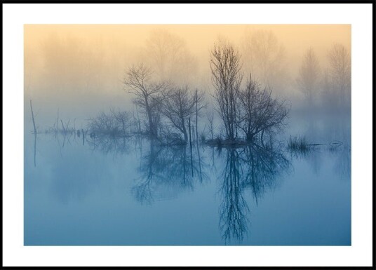 Morning reflection Plakat / 100x150cm Morning reflection Plakat / 100x150cm
