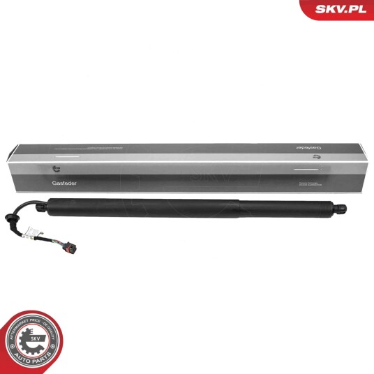 Elektromotor bakluke ESEN SKV 52SKV283