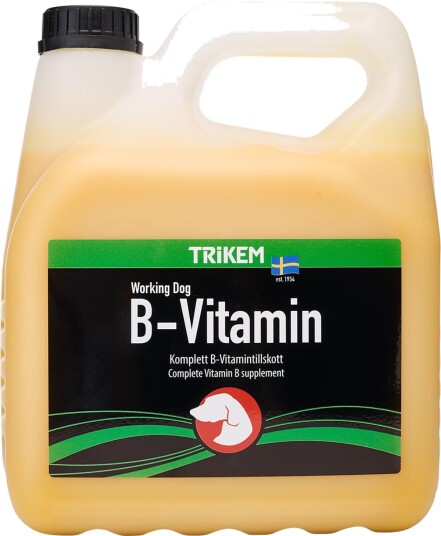 Trikem B-Vitamin 3L (721.2023) Trikem B-Vitamin 3L (721.2023)