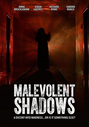 Malevolent Shadows DVD Malevolent Shadows DVD