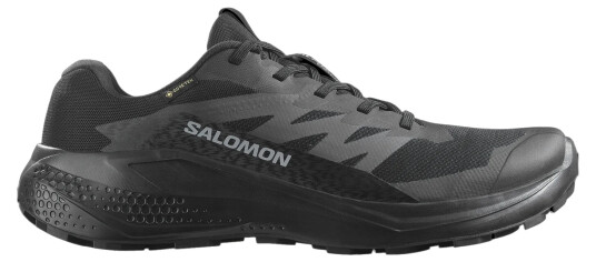 Salomon Alphaglide Gtx M Black/Asphalt/Black 8 UK