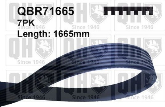 Multireim QUINTON HAZELL QBR71665