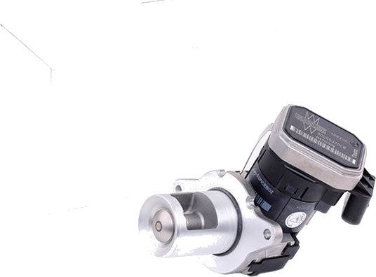 EGR Ventil WAHLER 7389D EGR Ventil WAHLER 7389D