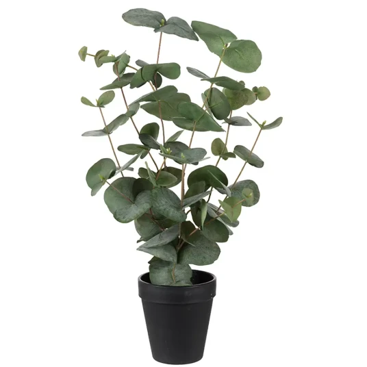 Eucalyptus kunstig plante H55 286377