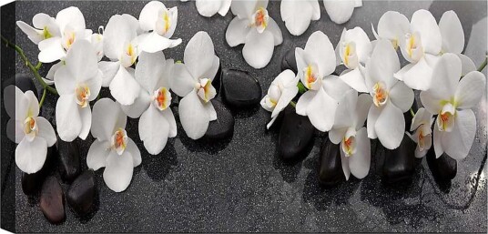 Canvasbilde YTY Floral & Botanical Flerfarget 120x50 cm