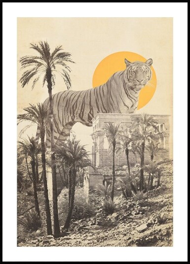 Giant Tiger In Ruins Plakat / 40x50cm