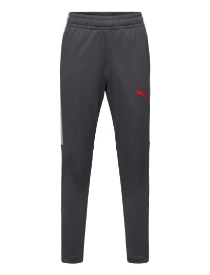 PUMA Individualliga Training Pants Jr Grey 176 PUMA Individualliga Training Pants Jr Grey 176