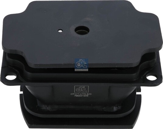 DT Spare Parts 3.10823 Motorfeste DT Spare Parts 3.10823 Motorfeste