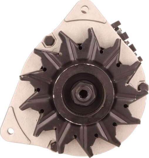 Dynamo WALKER WAL02562