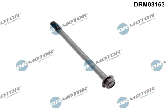 Skrue, innsprøytningsdyseholder DR.MOTOR AUTOMOTIVE DRM03163