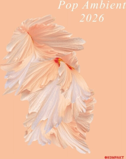 Diverse Artister Pop Ambient 2026 CD