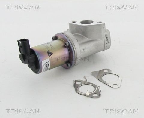 EGR ventil TRISCAN 8813 43021 EGR ventil TRISCAN 8813 43021
