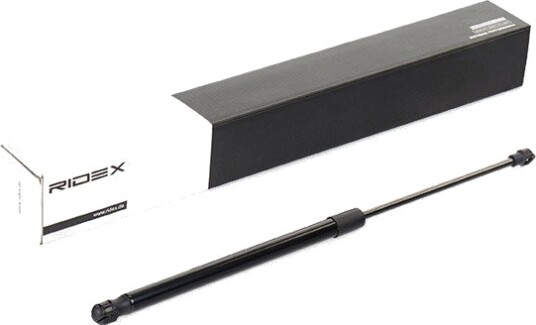 RIDEX 219G0348 Baklukedemper