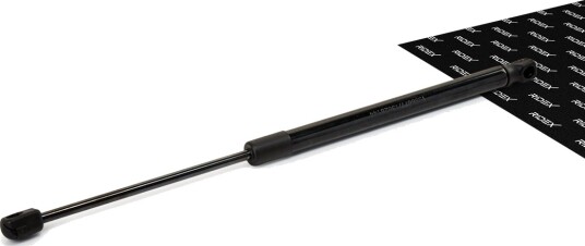 RIDEX 219G0428 Baklukedemper