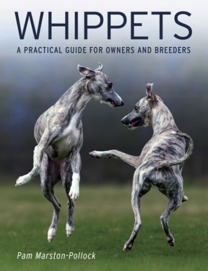 Whippets Whippets