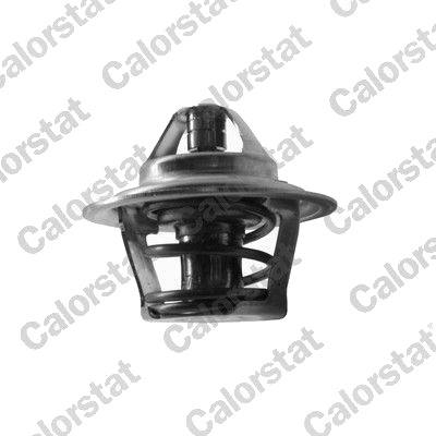 Termostat CALORSTAT by Vernet TH1410.80J
