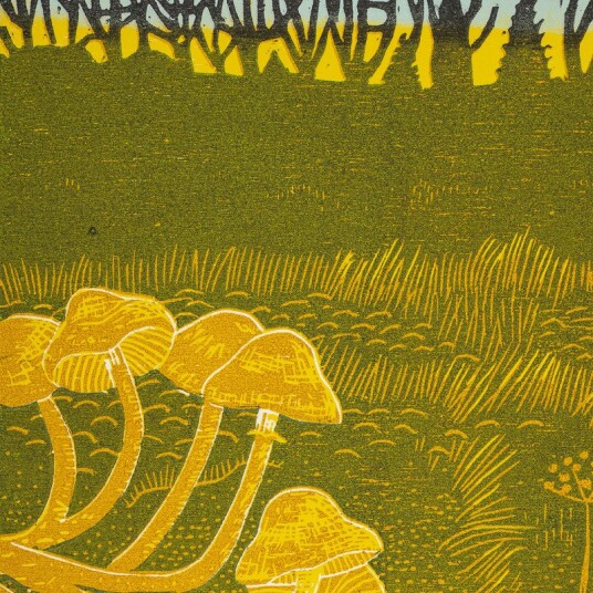 Rural Tapes Rural Tapes Vinyl