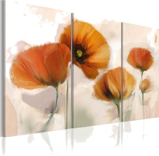 Bilde Artistic Poppies Triptych 60x40 Artgeist sp. z o. o.