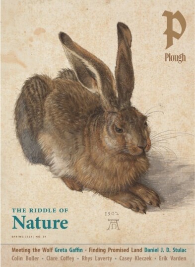 Plough Quarterly No. 39 ¿ The Riddle of Nature