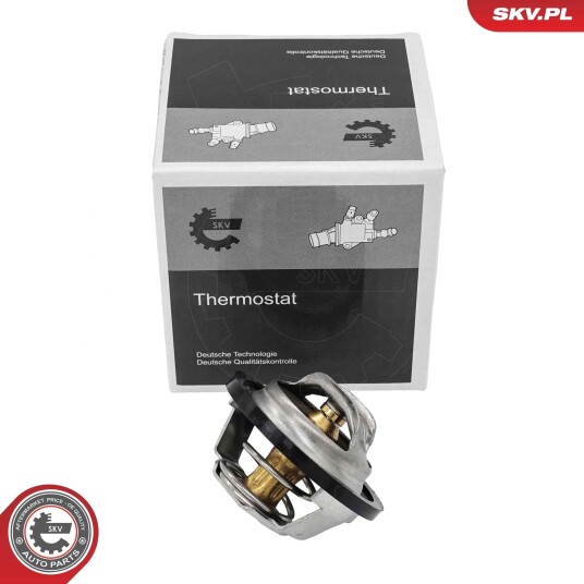 Termostat ESEN SKV 20SKV244