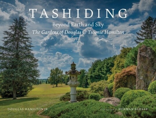 Tashidin Beyond Earth and Sky