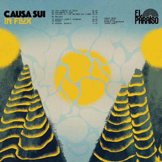 Causa Sui  In Flux  CD