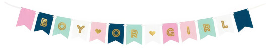 PartyDeco Girlander Boy or Girl DIY Mix