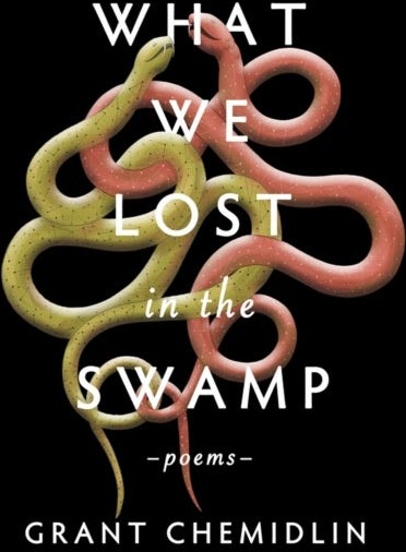 What We Lost in the Swamp Poems What We Lost in the Swamp Poems