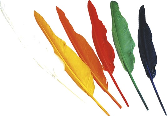 Widmann 12 stk Lange Indianer Fjær ca 30 cm