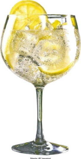 Gin Tonic Goblet Copa Glass - 720ml